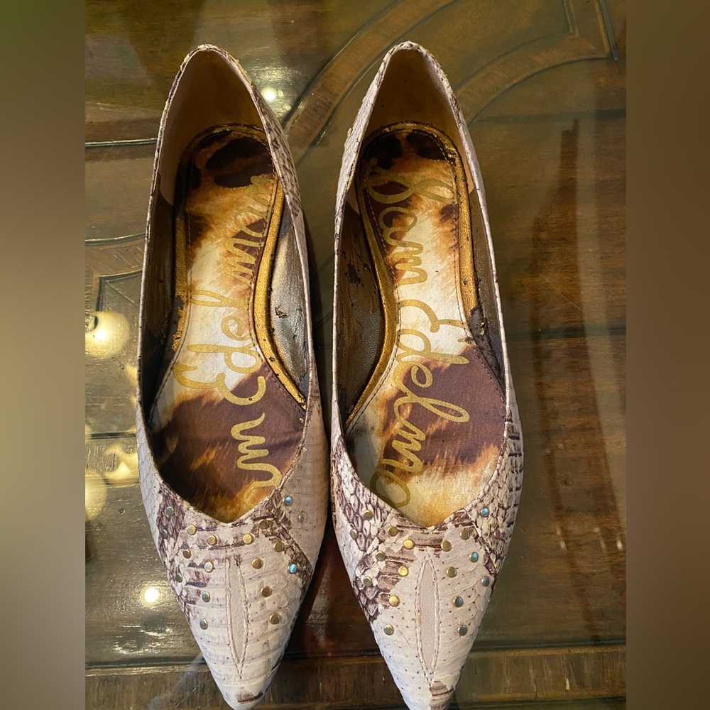 Sam Edelman Irina Pointy Flats